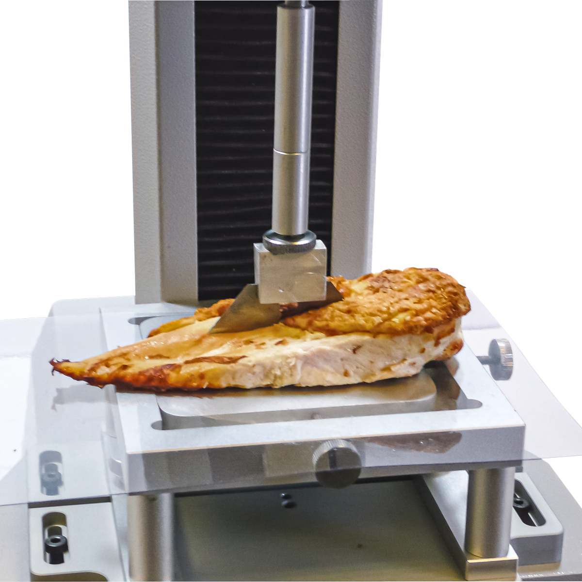 Testing the muscle texture of chicken breast