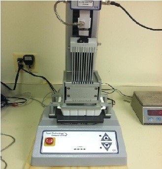 Chopped sea clams on the shear test stand