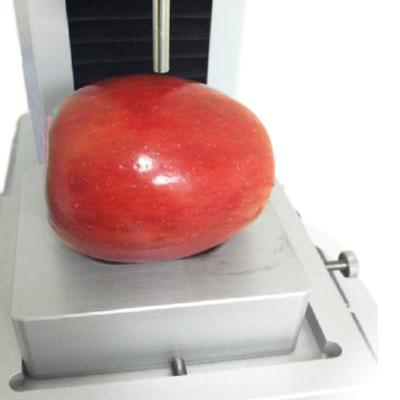 TMS spherical holder for rounded samples such as an apple
